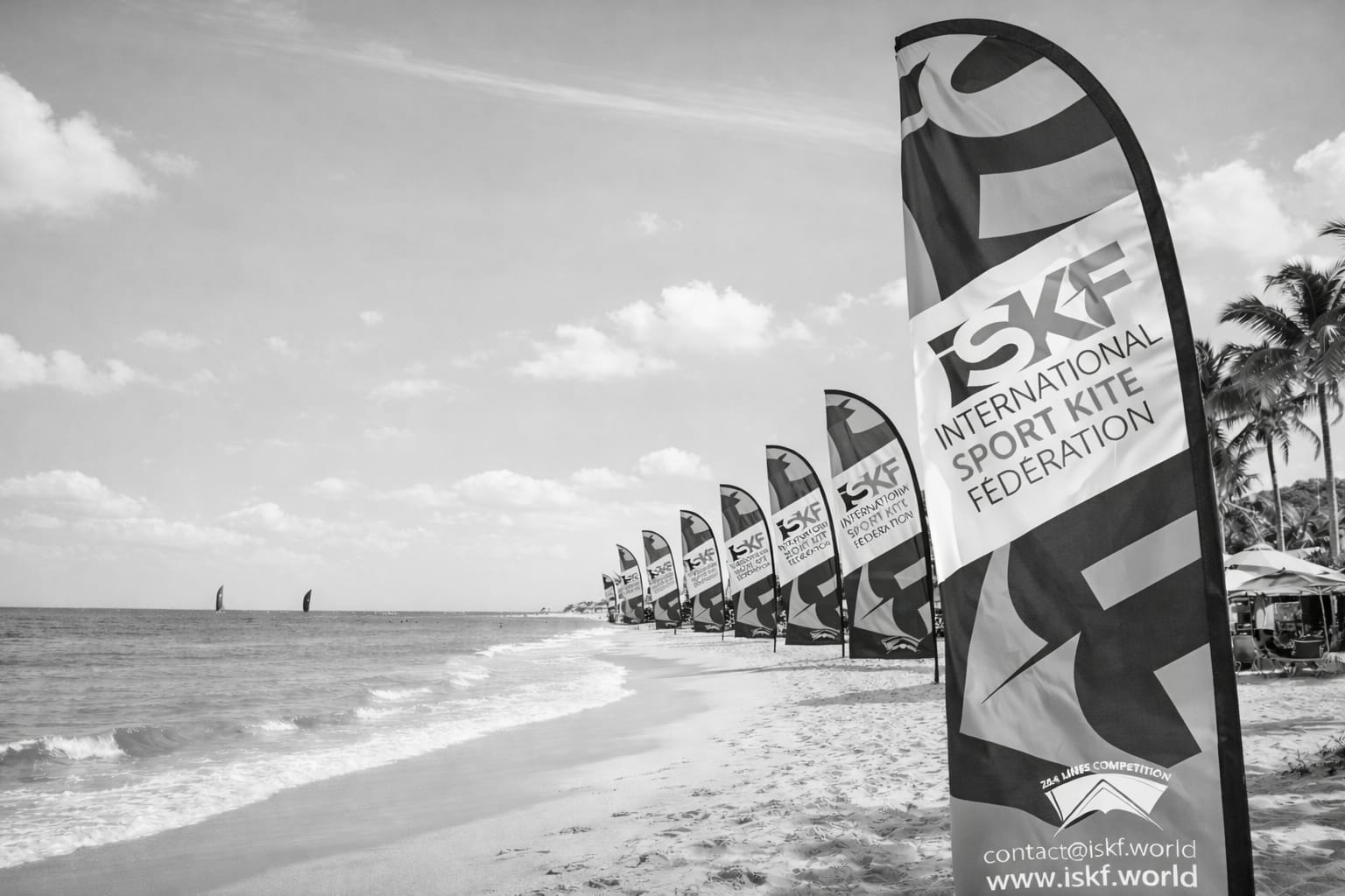 International Sport Kite Federation
